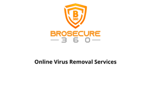 Online Virus Removal Services